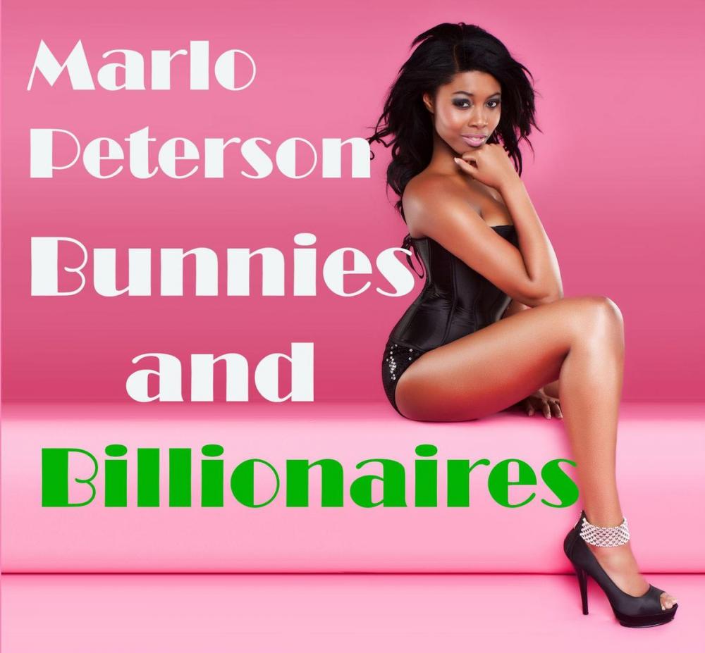 Big bigCover of Bunnies and Billionaires