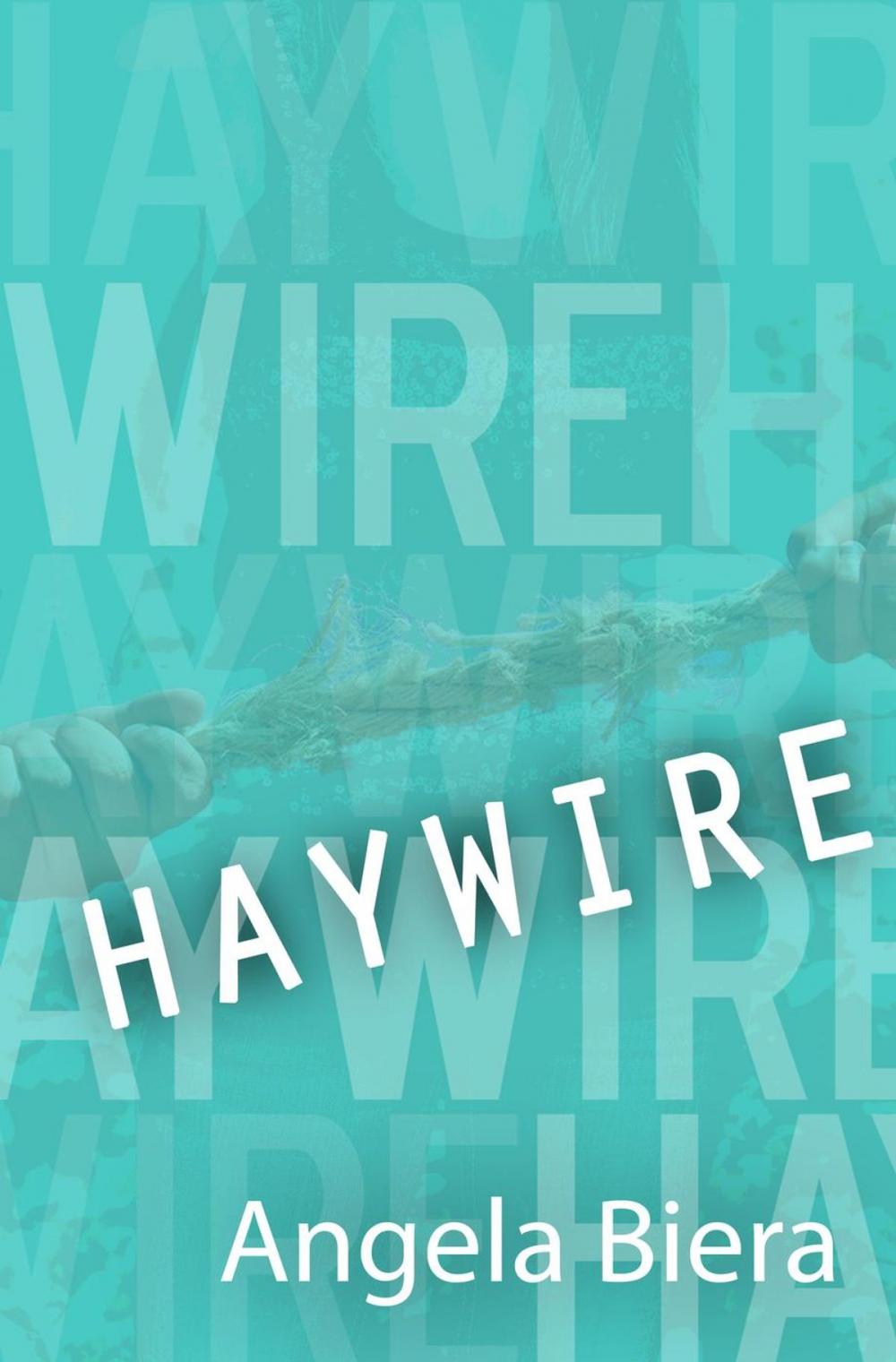 Big bigCover of Haywire