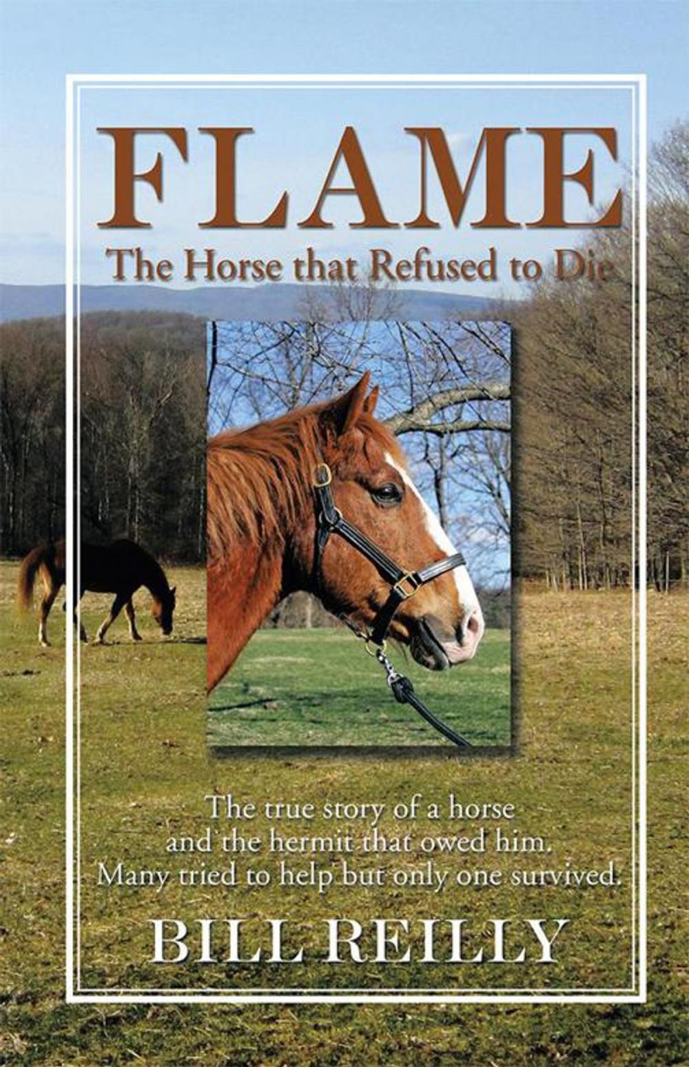 Big bigCover of Flame – the Horse That Refused to Die