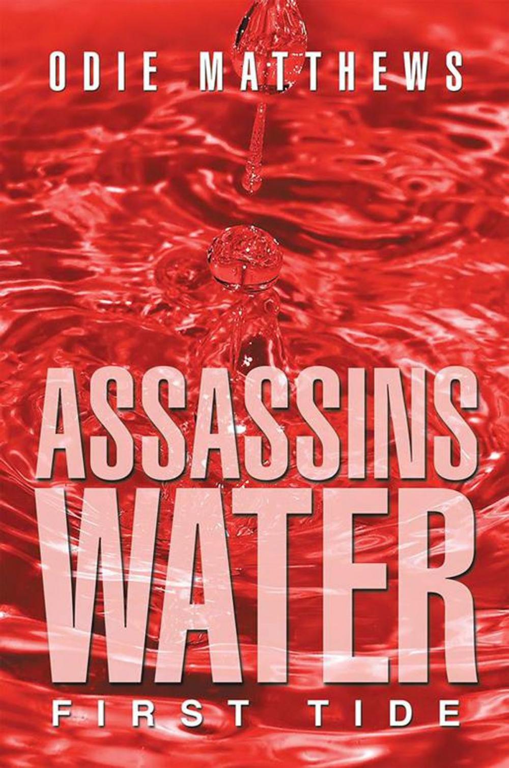 Big bigCover of Assassins Water