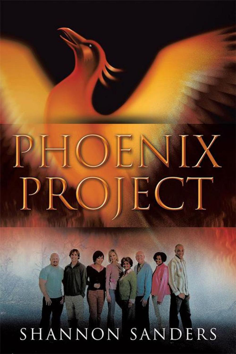 Big bigCover of Phoenix Project