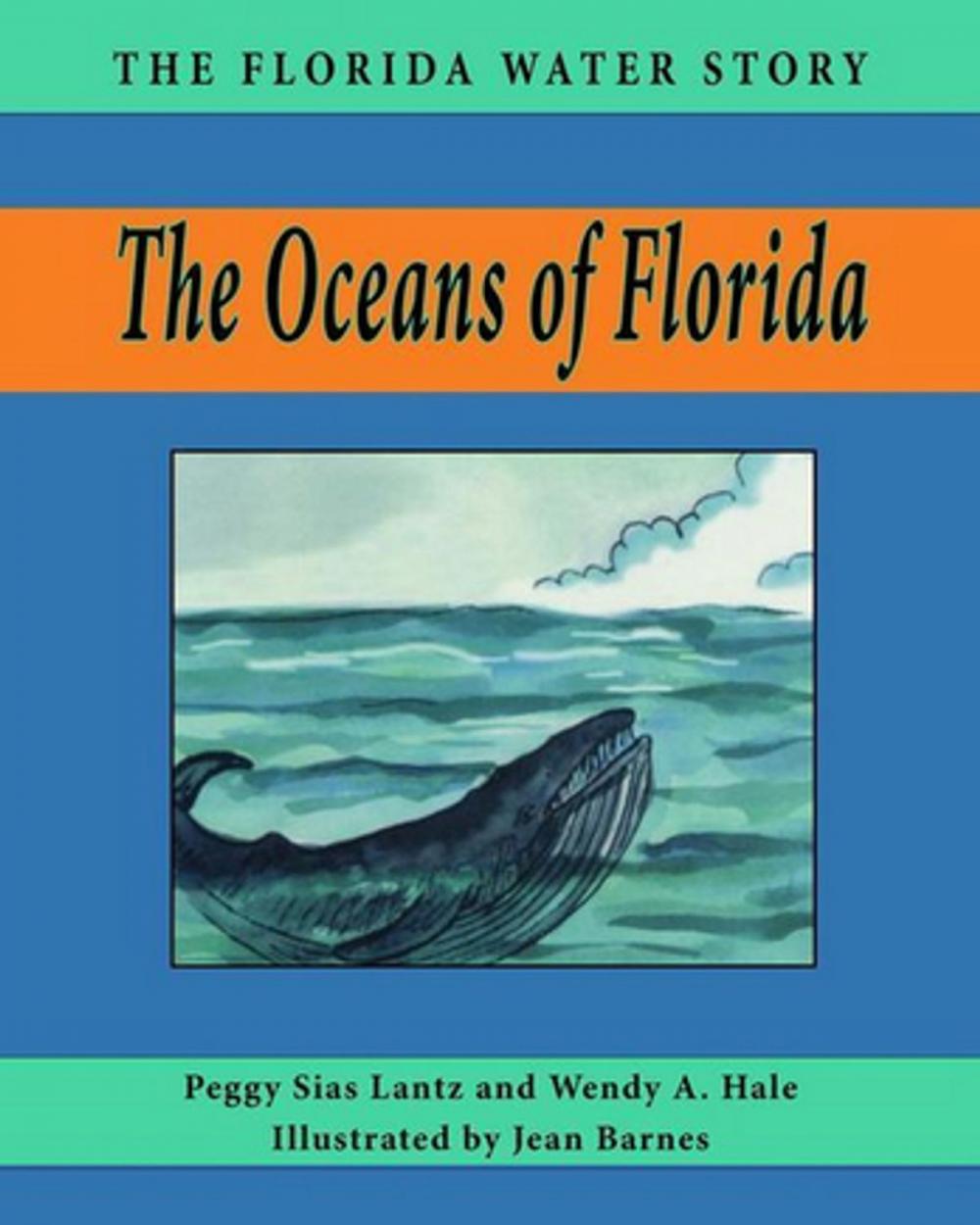 Big bigCover of The Oceans of Florida