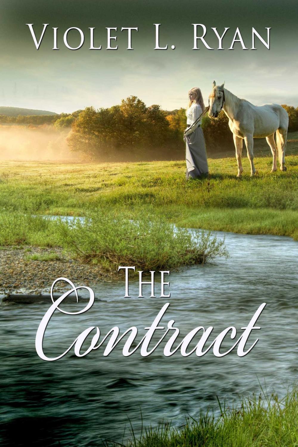 Big bigCover of The Contract