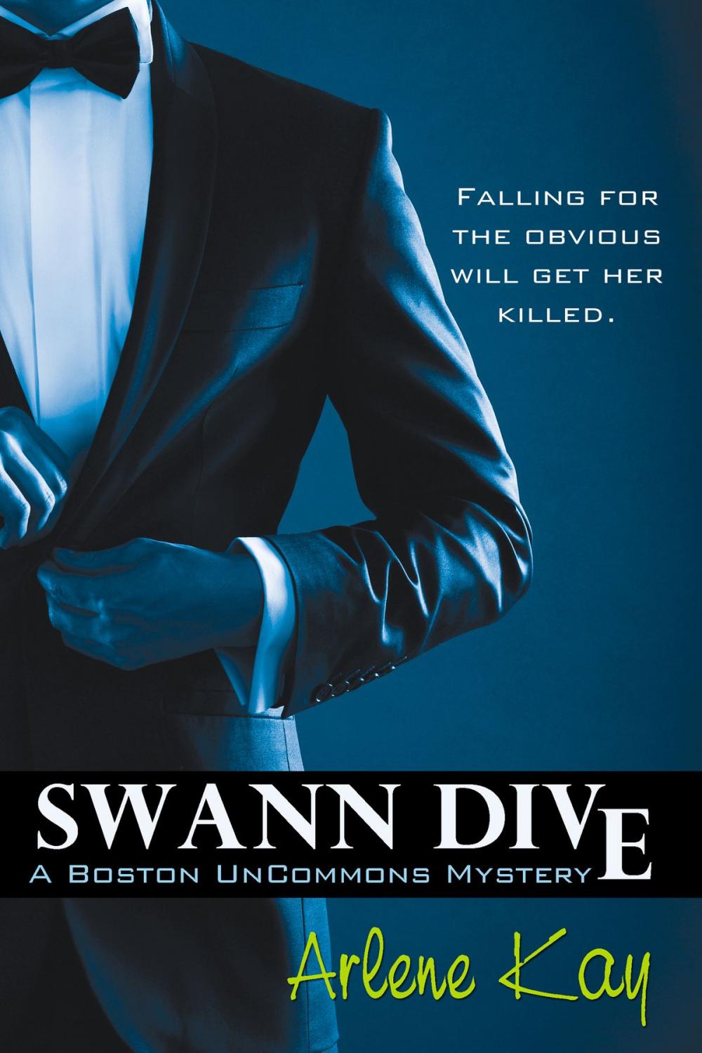 Big bigCover of Swann Dive