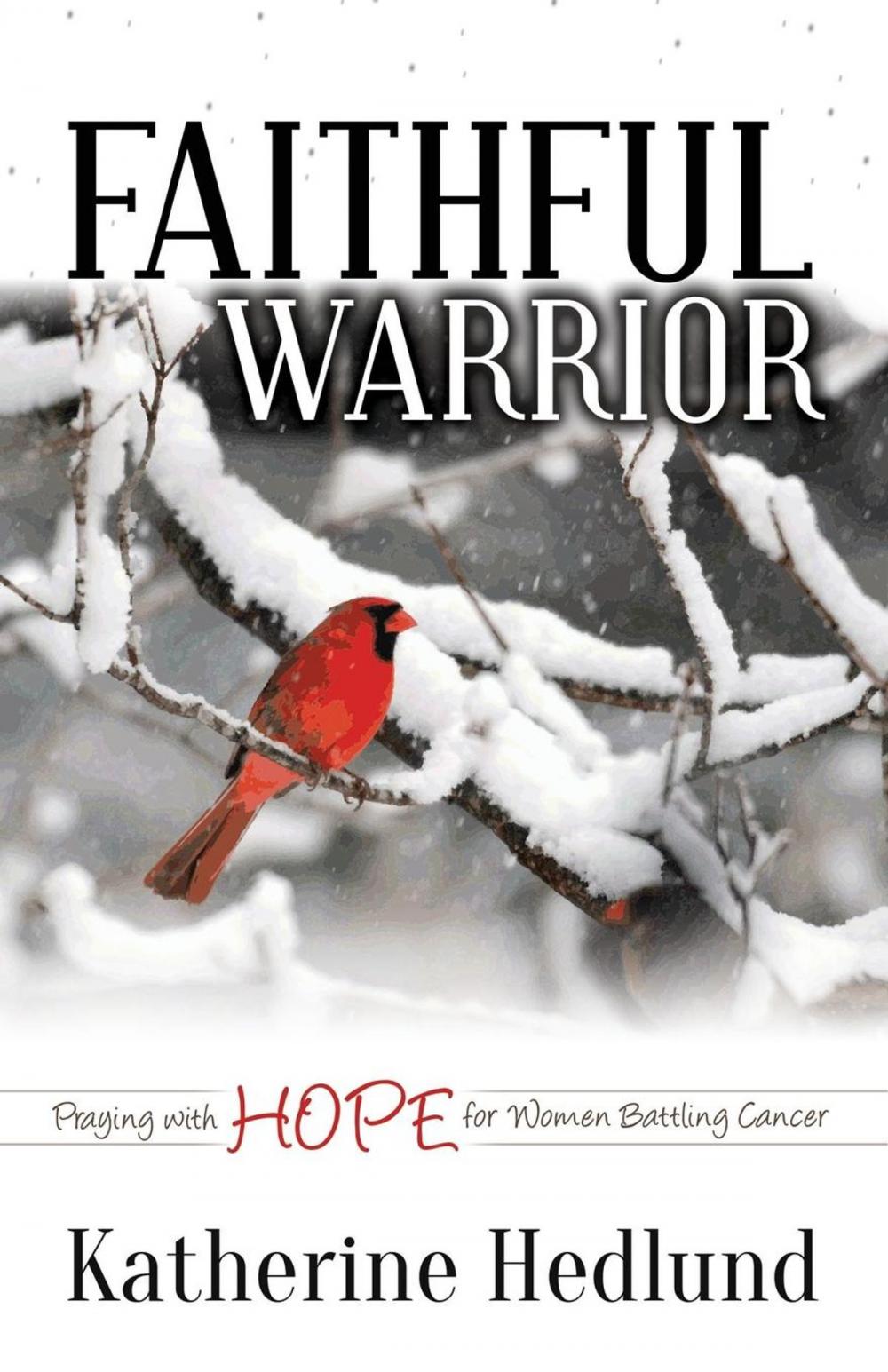 Big bigCover of Faithful Warrior