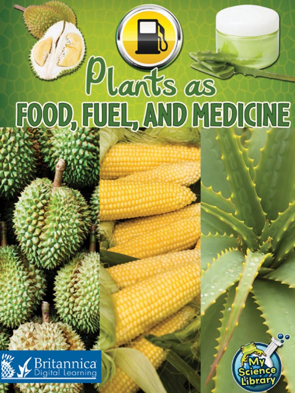 Big bigCover of Plants as Food, Fuel, and Medicine