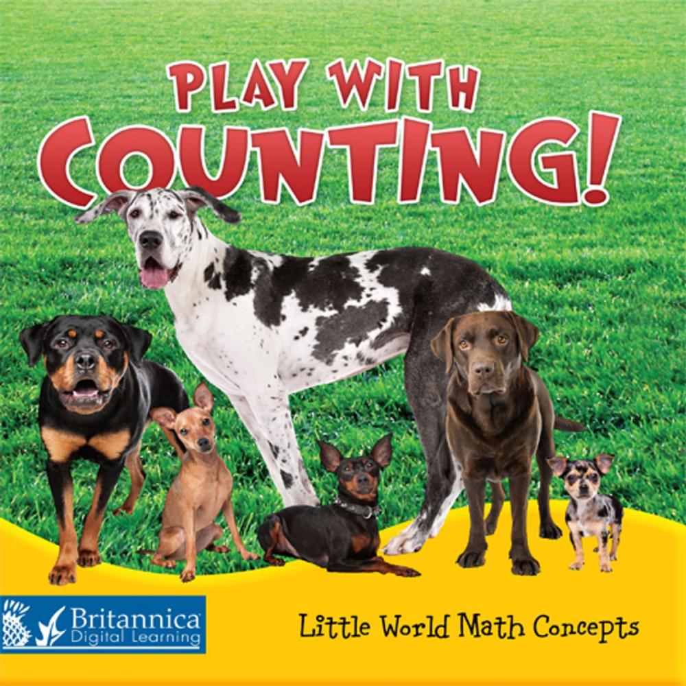 Big bigCover of Play with Counting!