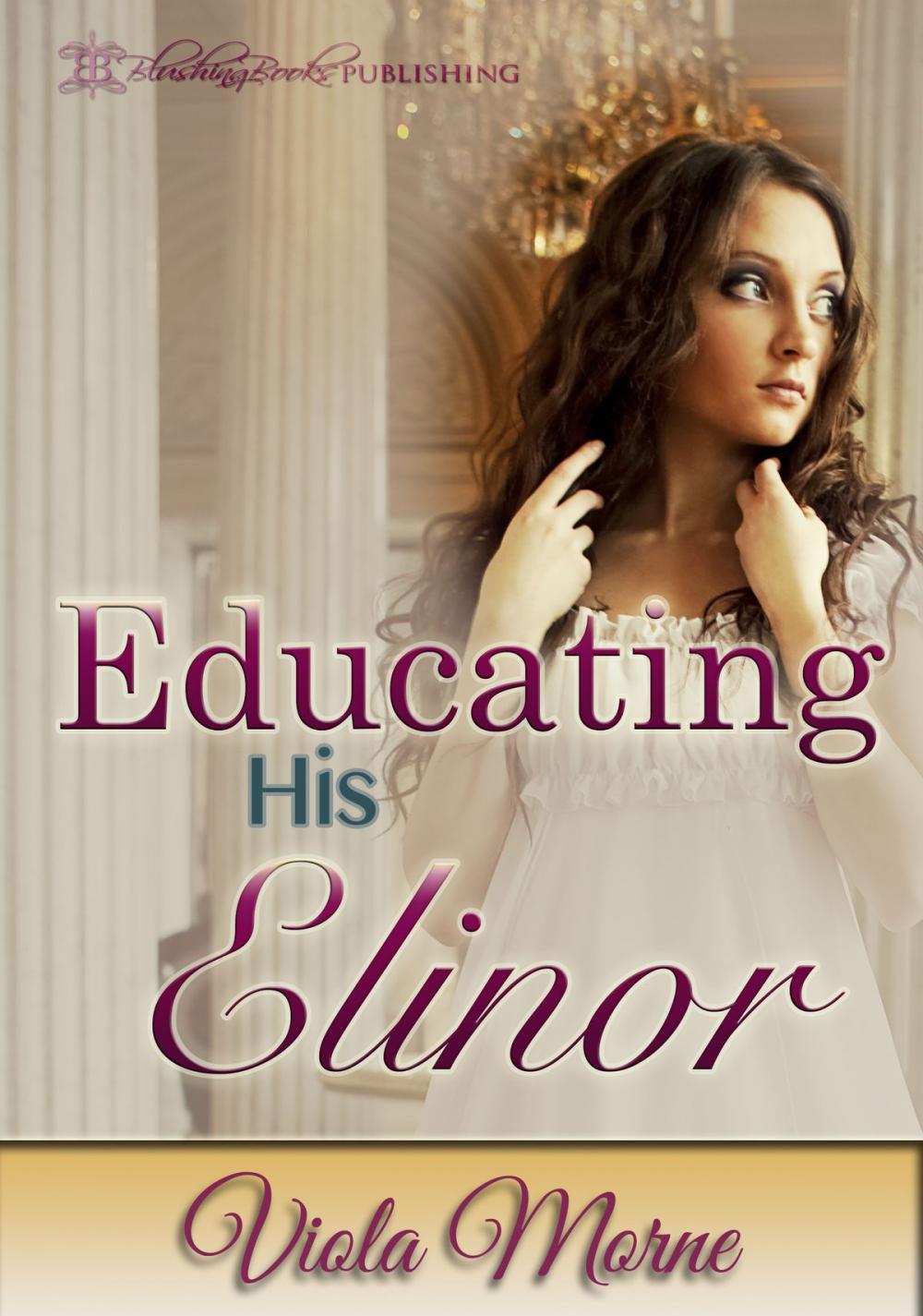 Big bigCover of Educating His Elinor