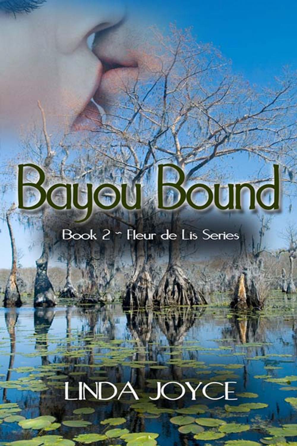 Big bigCover of Bayou Bound