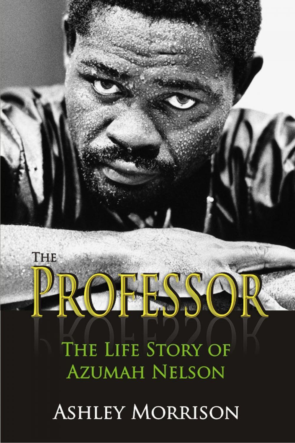 Big bigCover of The Professor