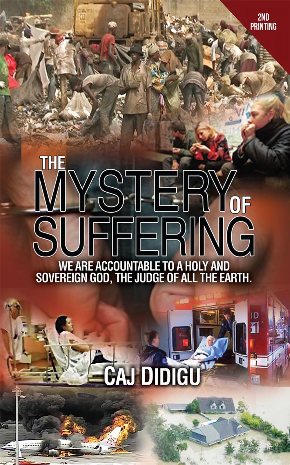 Big bigCover of The Mystery of Suffering