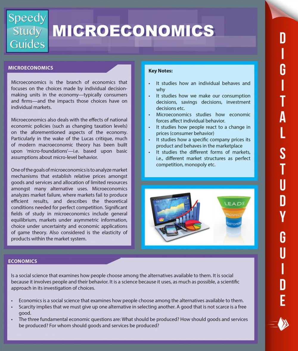 Big bigCover of Micro-Economics (Speedy Study Guides)