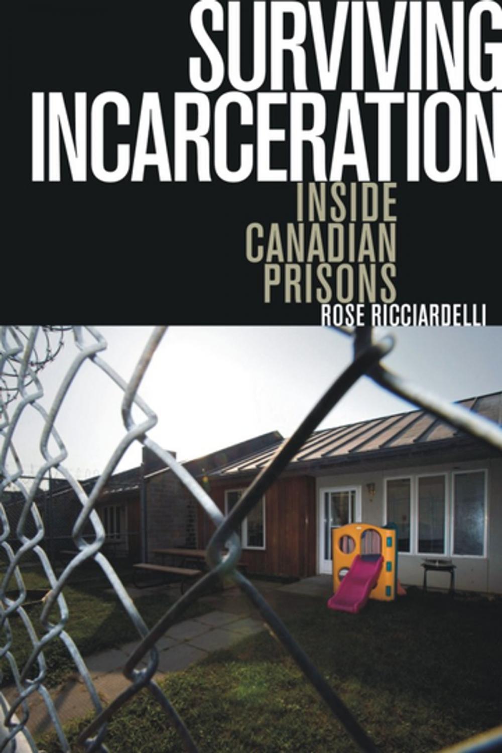 Big bigCover of Surviving Incarceration