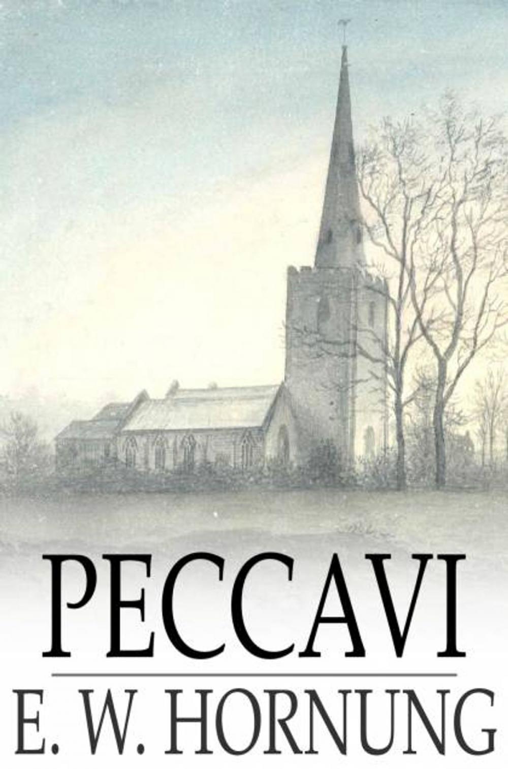 Big bigCover of Peccavi