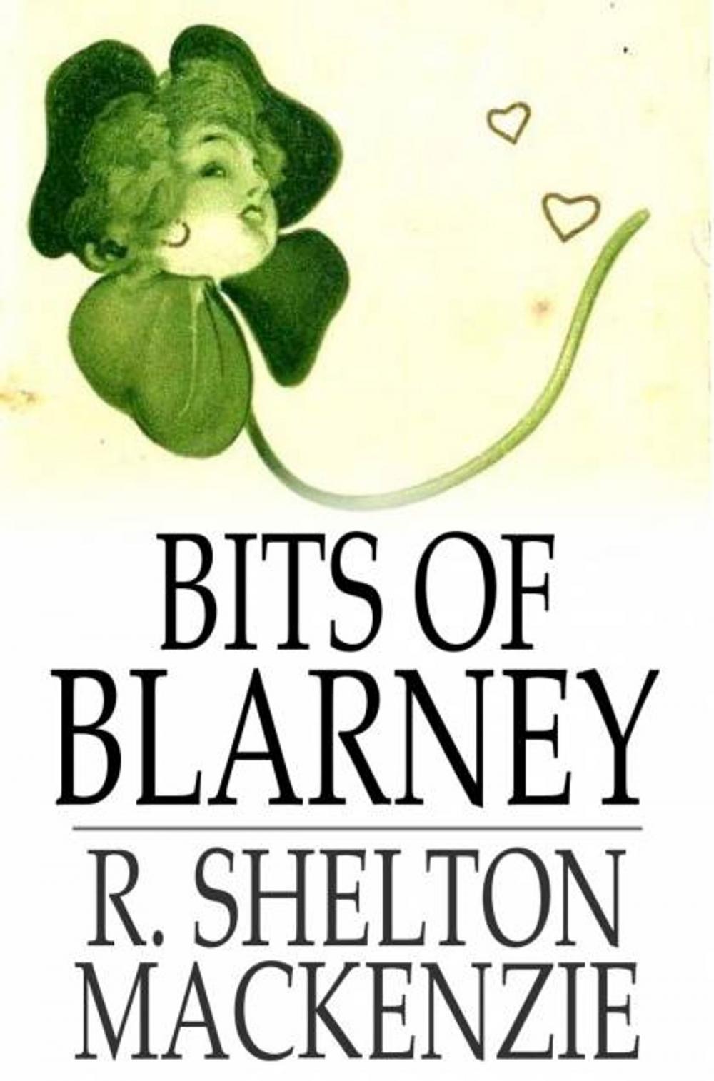 Big bigCover of Bits of Blarney