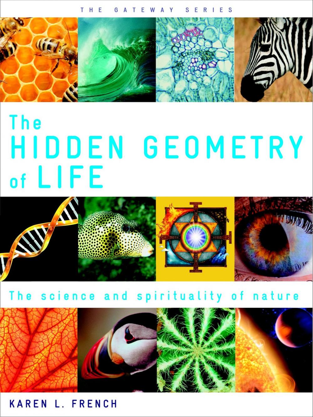 Big bigCover of The Hidden Geometry of Life