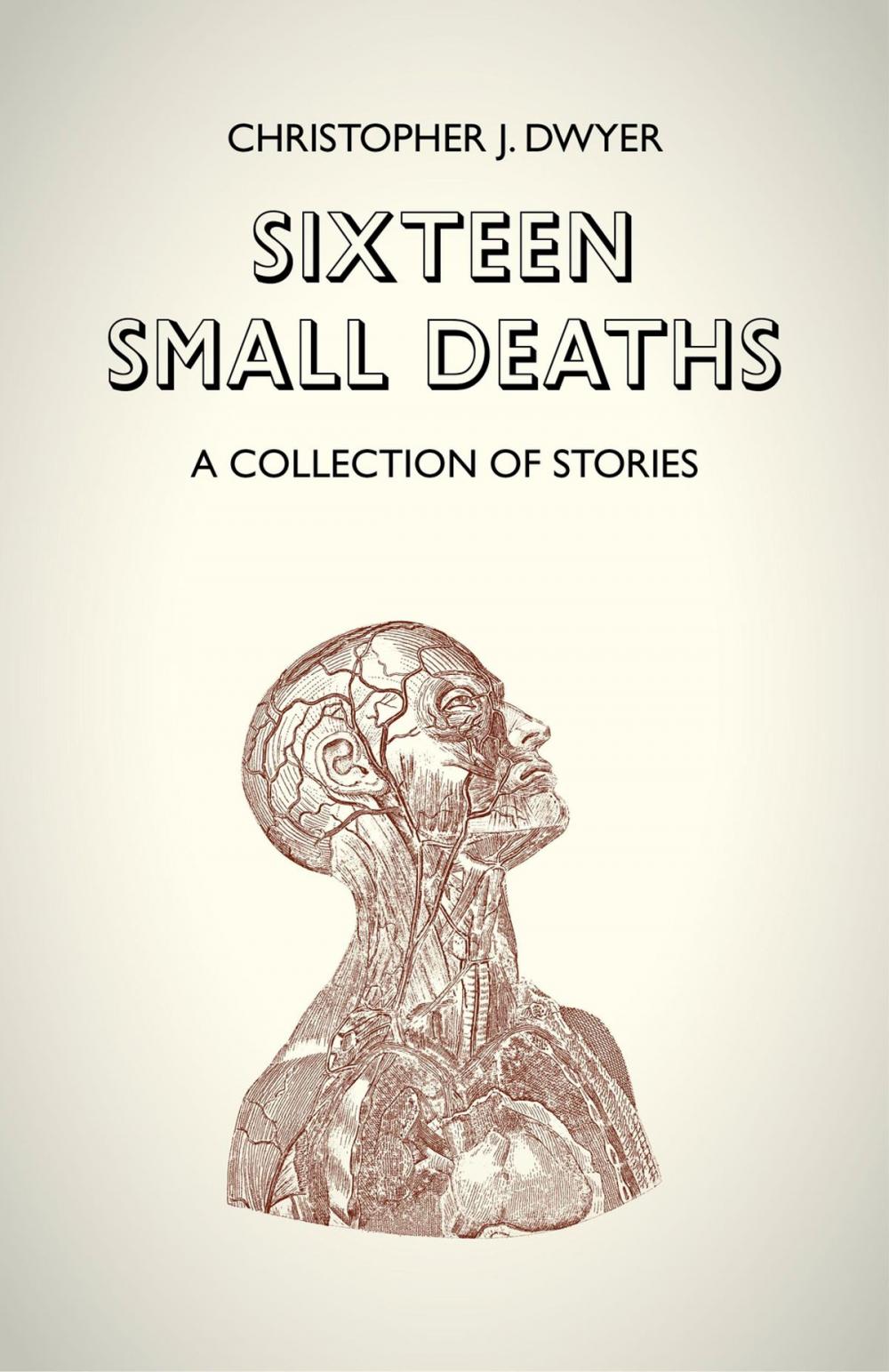 Big bigCover of Sixteen Small Deaths: A Collection of Stories