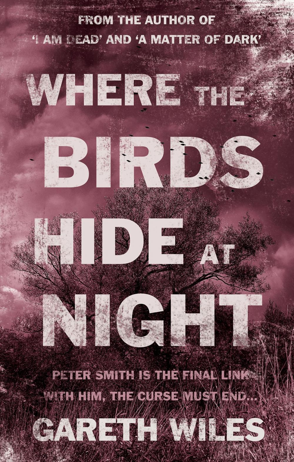 Big bigCover of Where The Birds Hide At Night