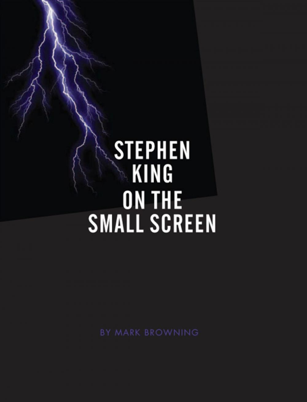 Big bigCover of Stephen King on the Small Screen