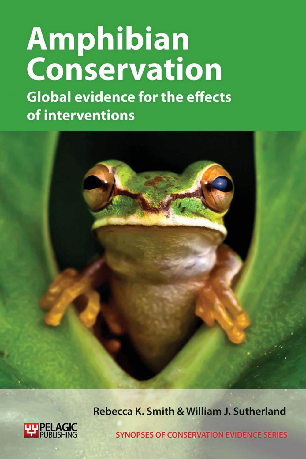 Big bigCover of Amphibian Conservation