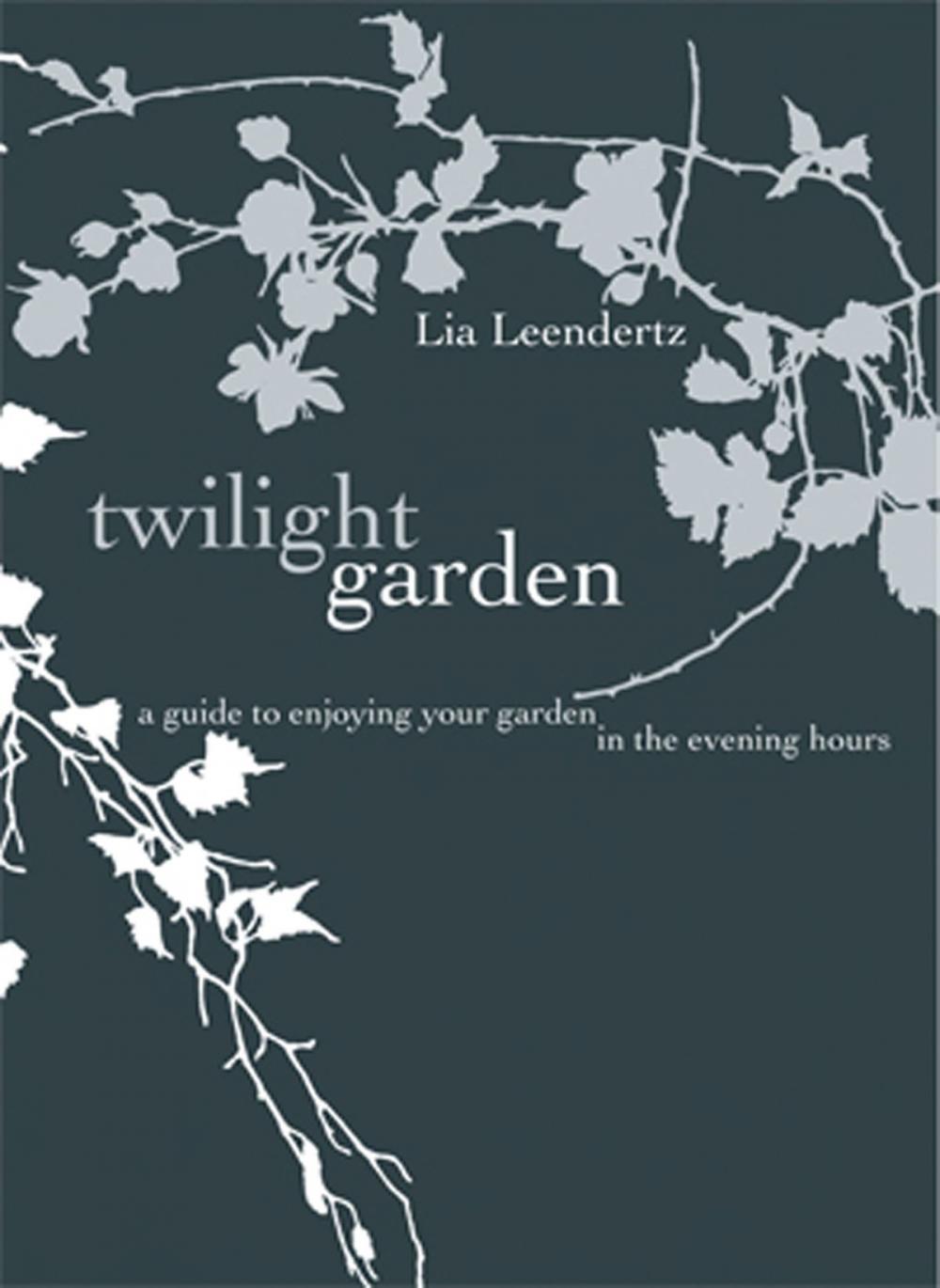 Big bigCover of The Twilight Garden