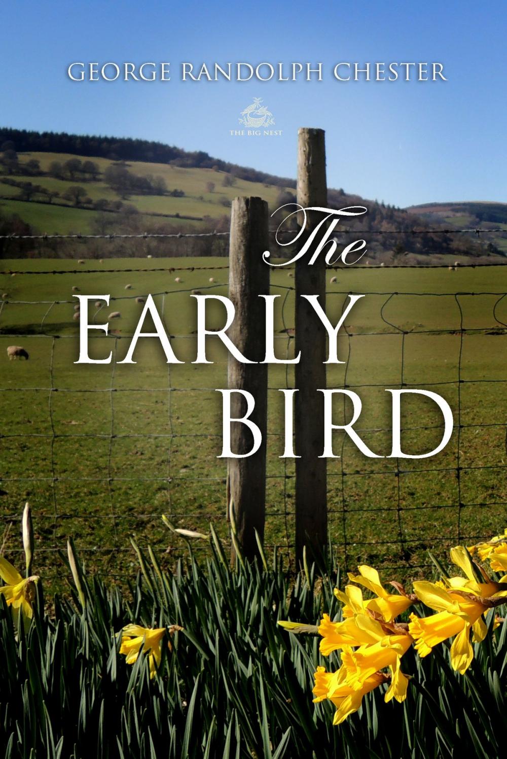 Big bigCover of The Early Bird