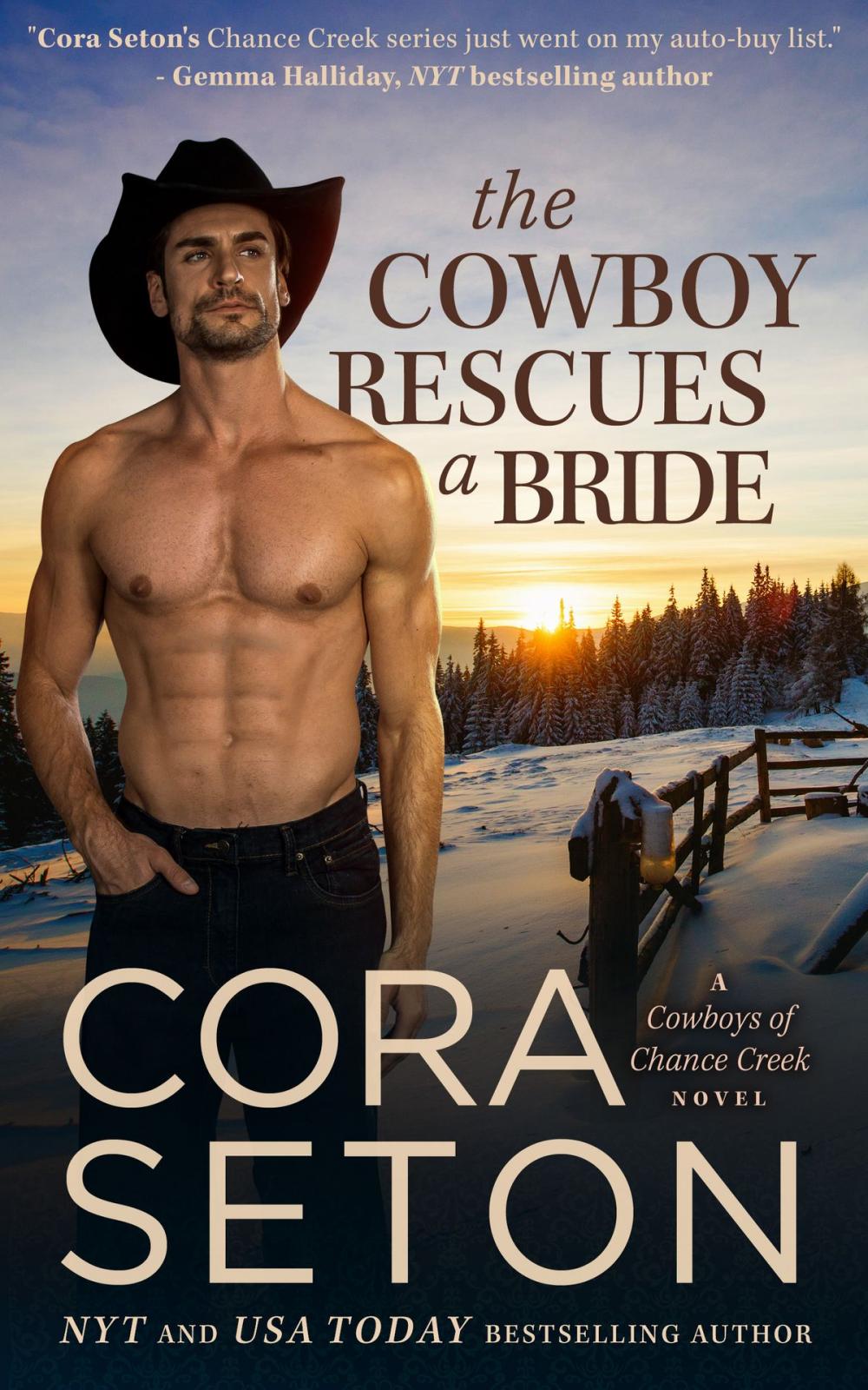 Big bigCover of The Cowboy Rescues a Bride