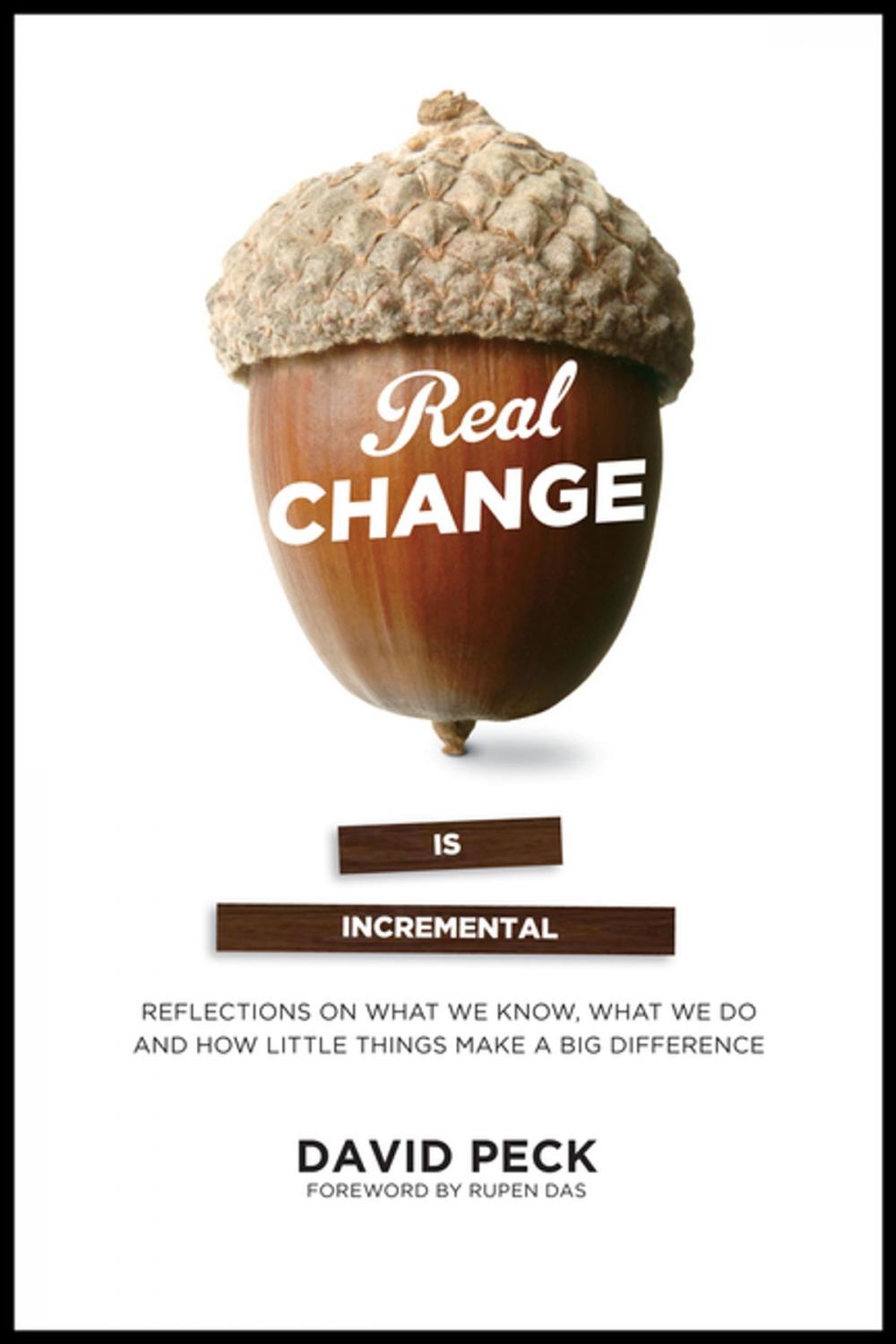 Big bigCover of Real Change Is Incremental