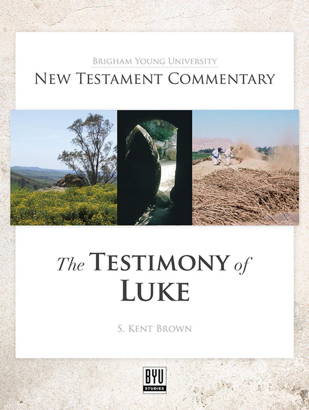 Big bigCover of The Testimony of Luke