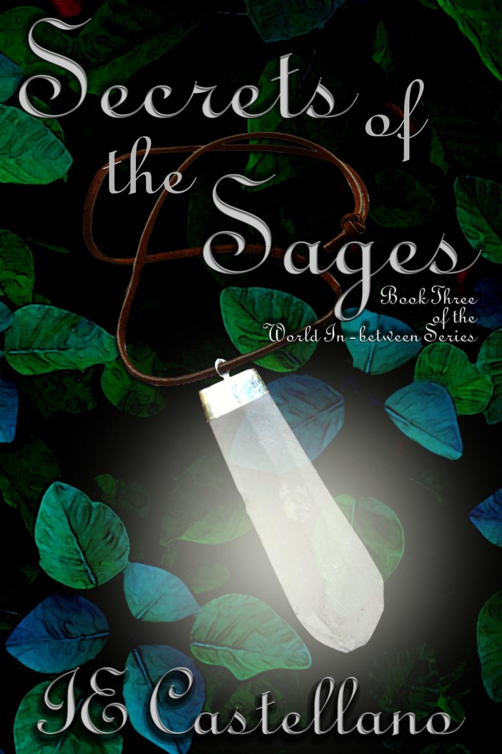 Big bigCover of Secrets of the Sages