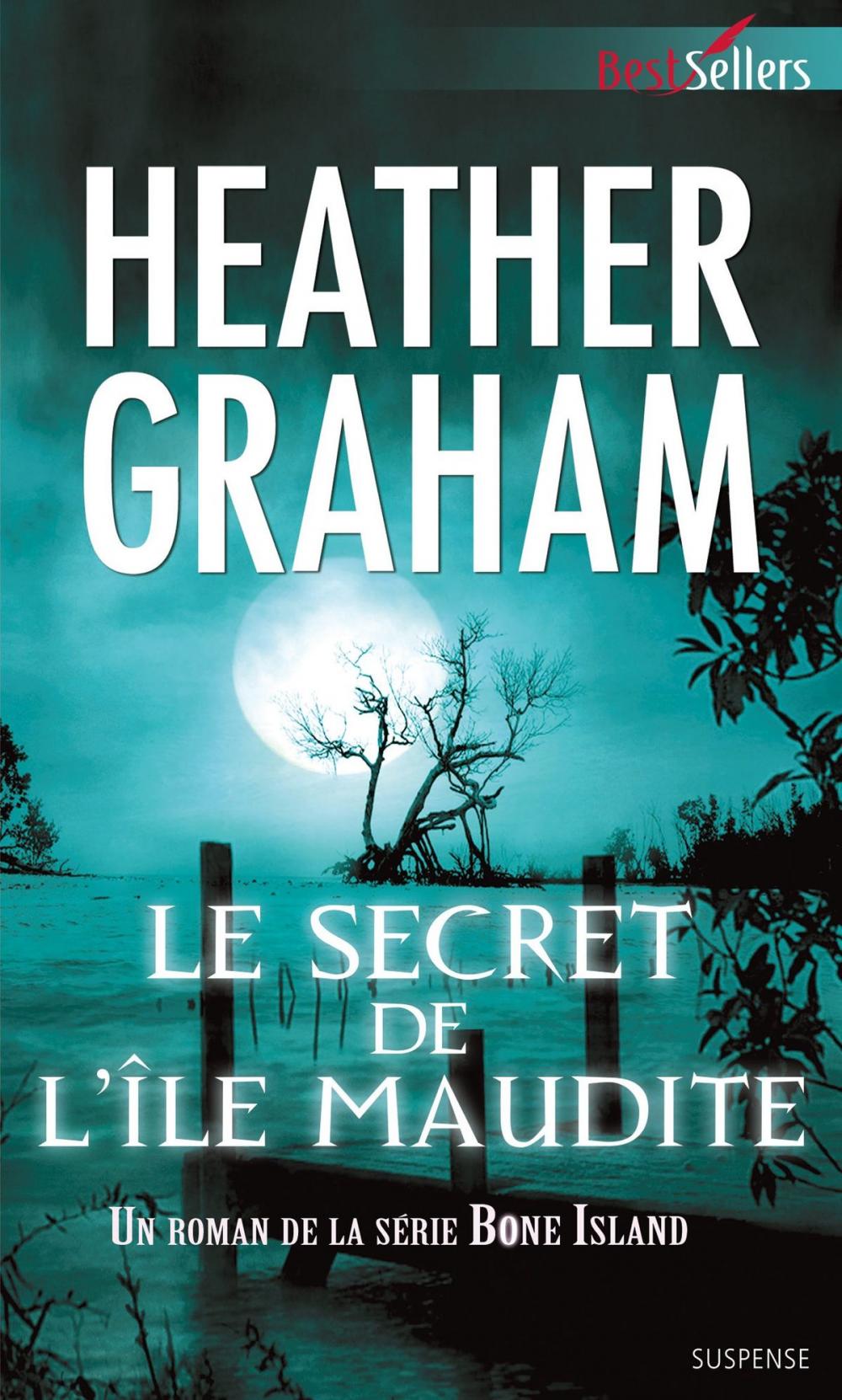 Big bigCover of Le secret de l'île maudite