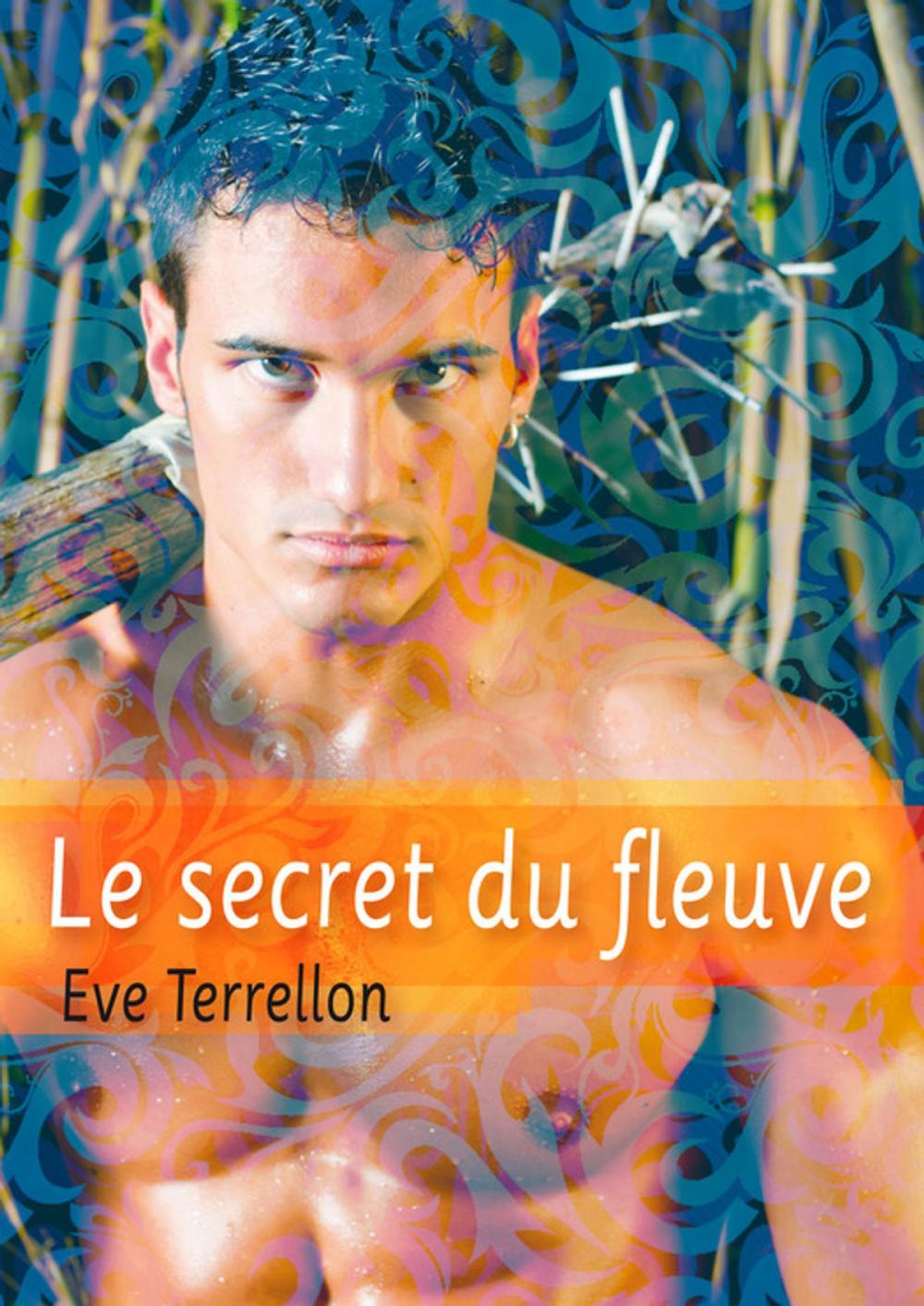 Big bigCover of Le secret du fleuve - roman gay