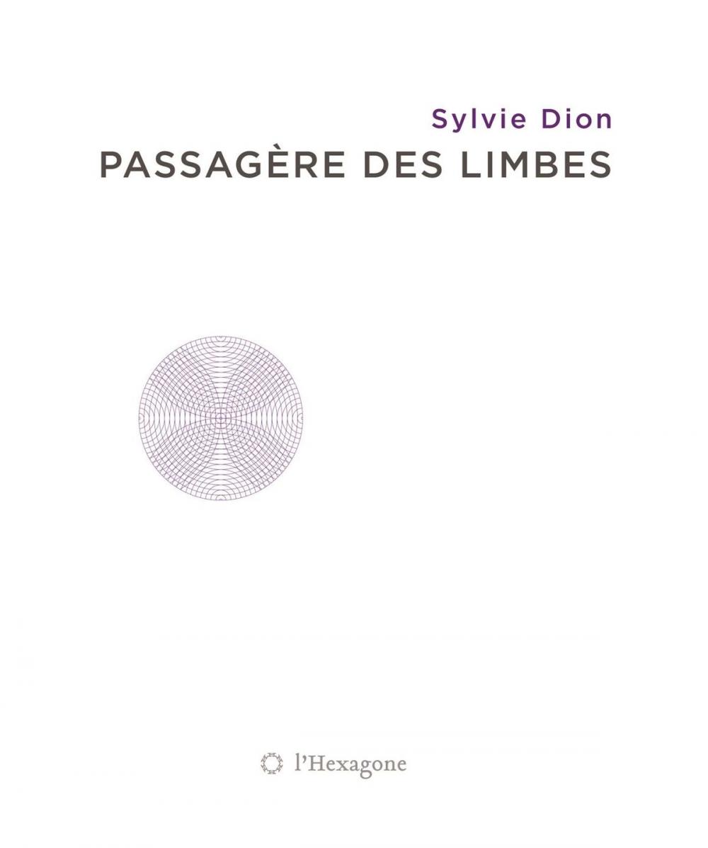 Big bigCover of Passagère des limbes