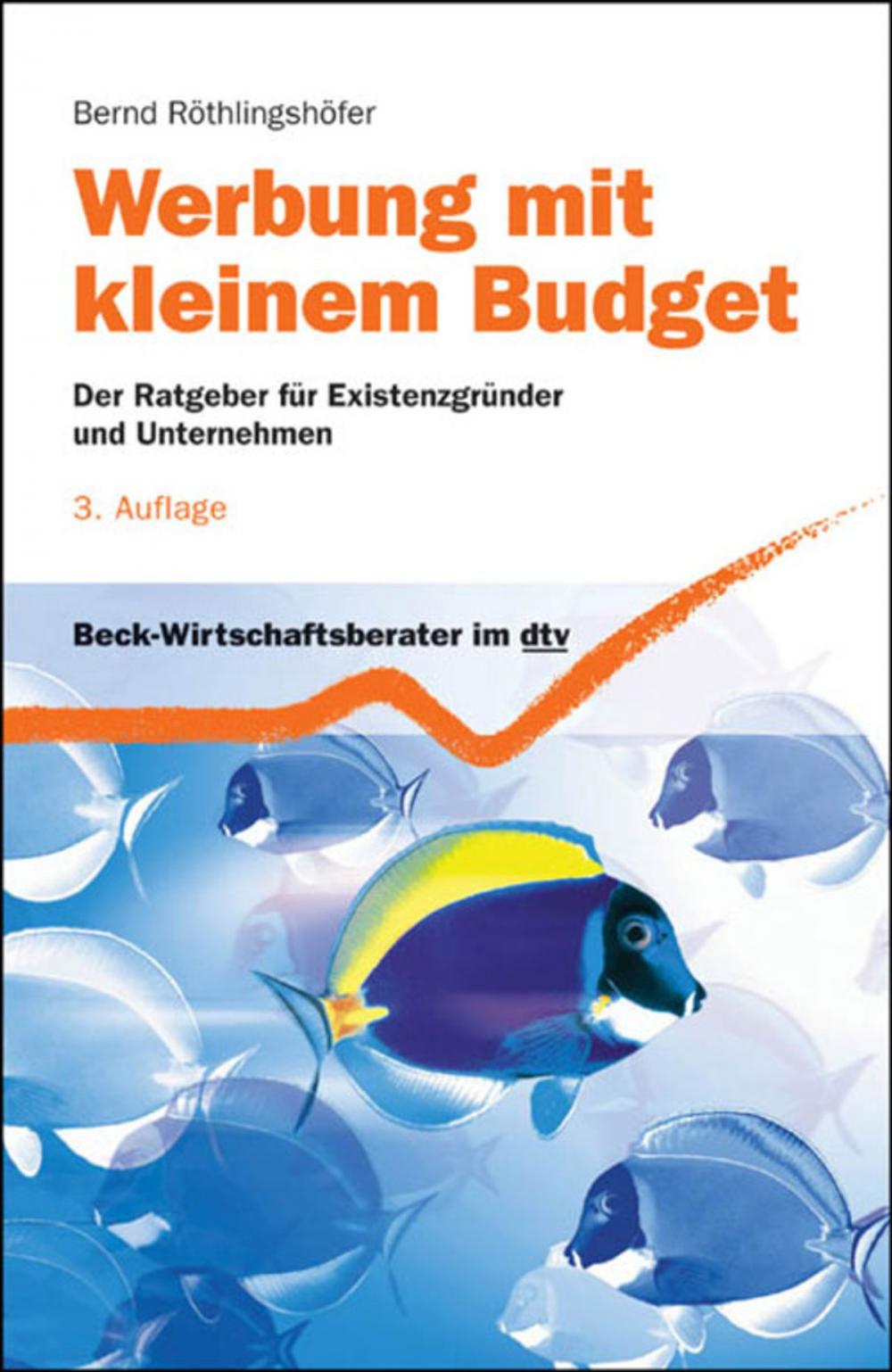 Big bigCover of Werbung mit kleinem Budget