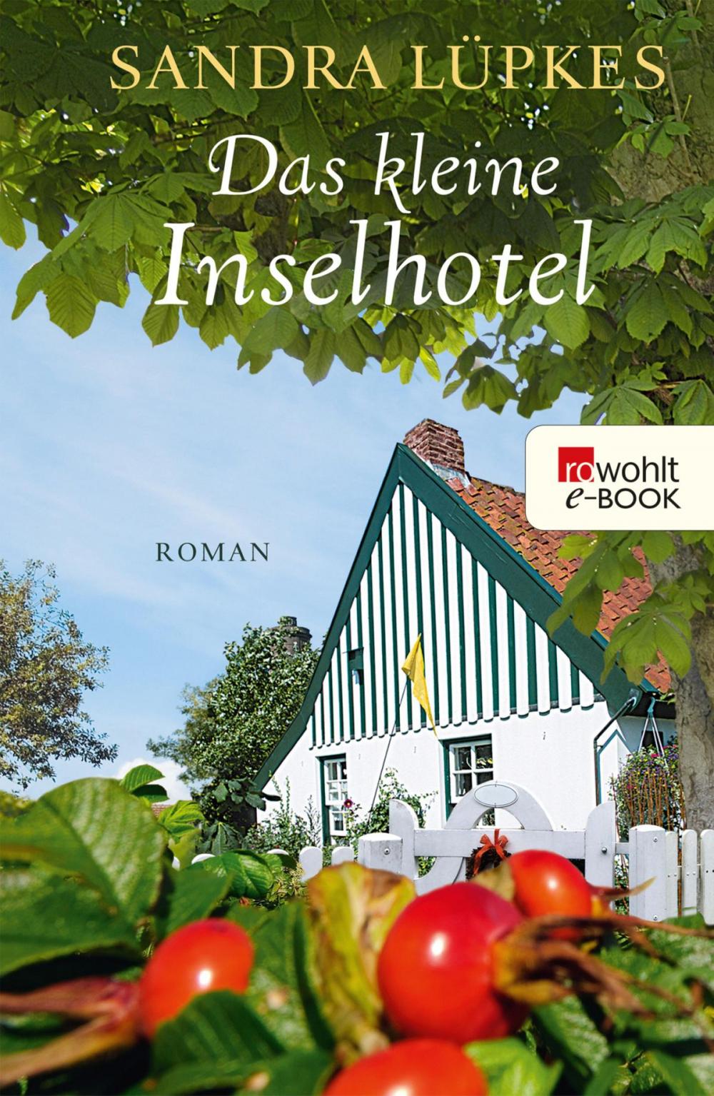 Big bigCover of Das kleine Inselhotel