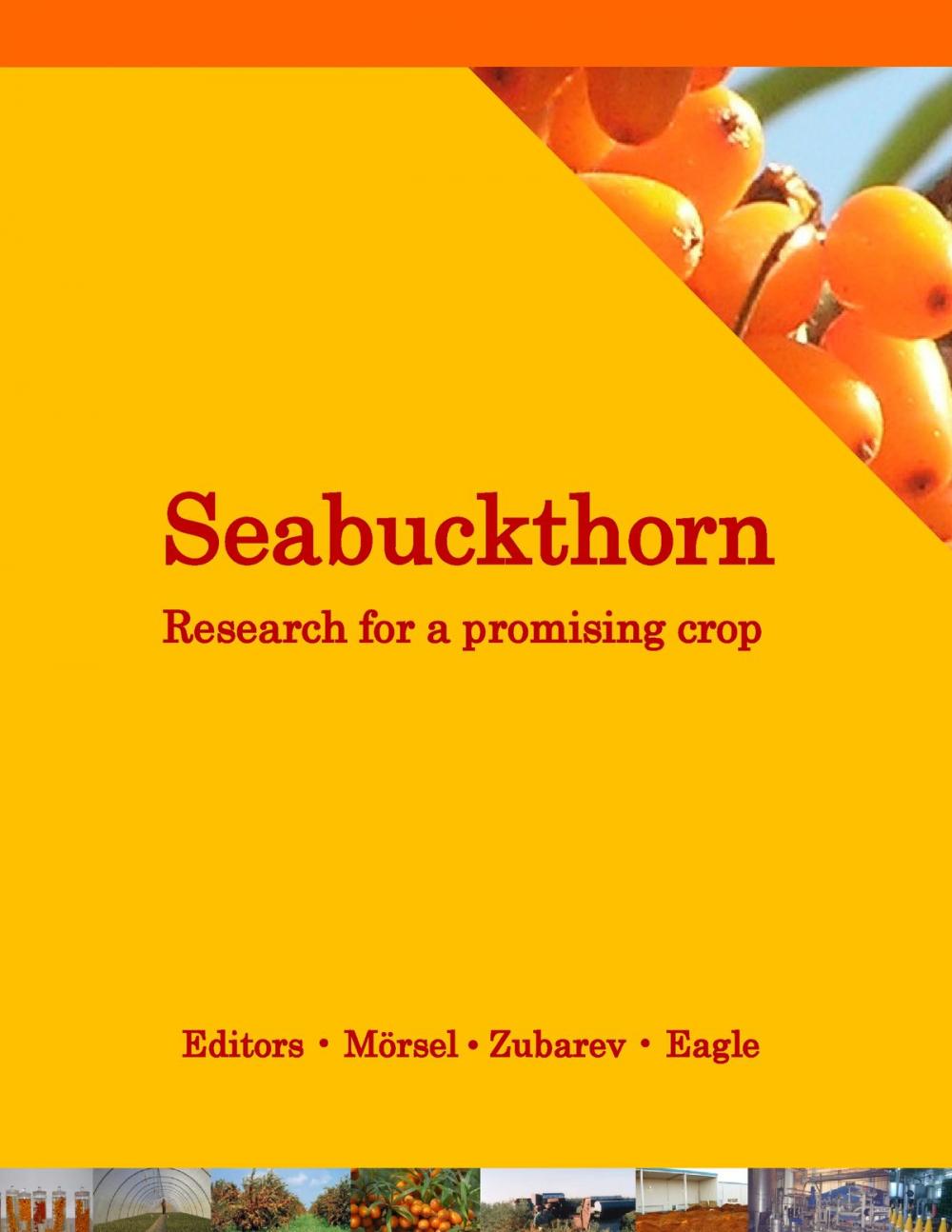 Big bigCover of Seabuckthorn. Research for a promising crop