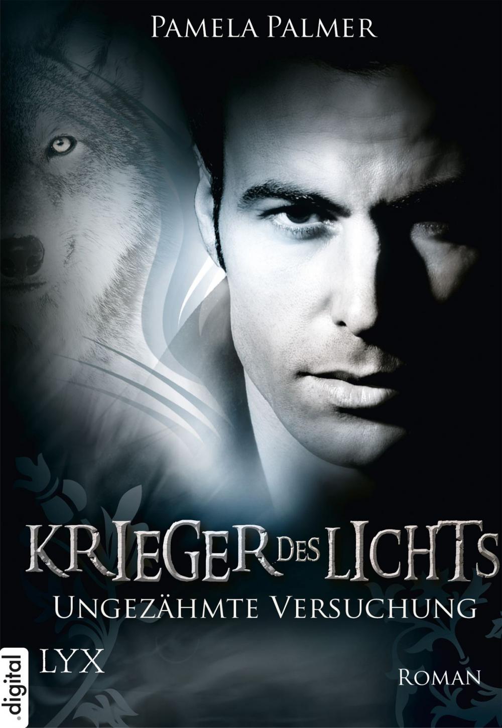 Big bigCover of Krieger des Lichts - Ungezähmte Versuchung