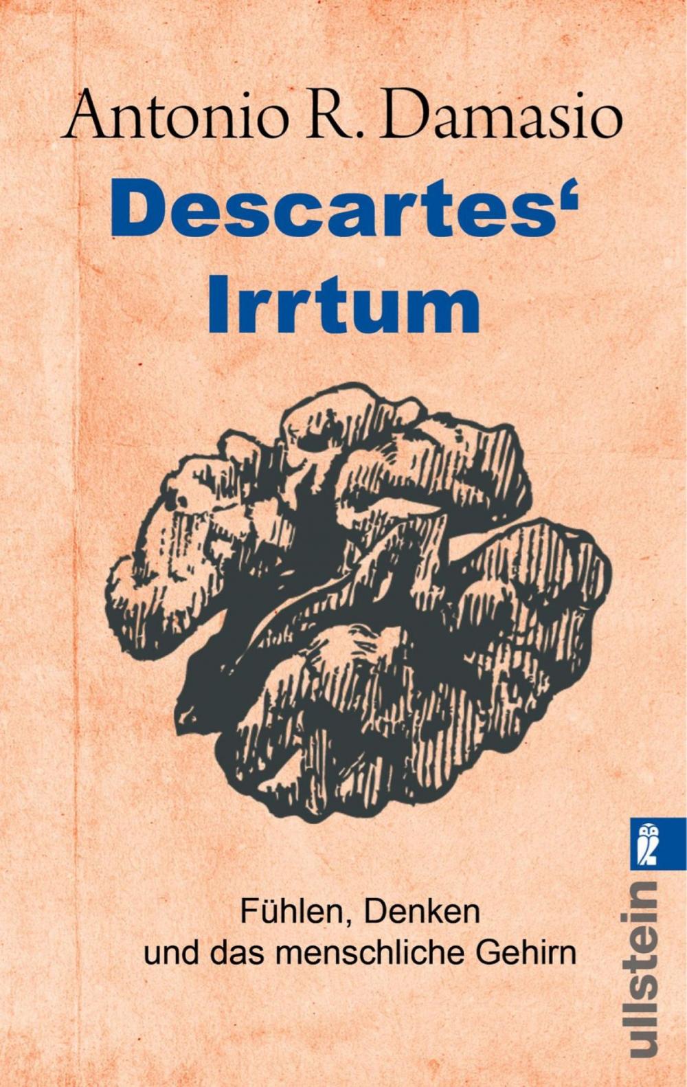 Big bigCover of Descartes' Irrtum