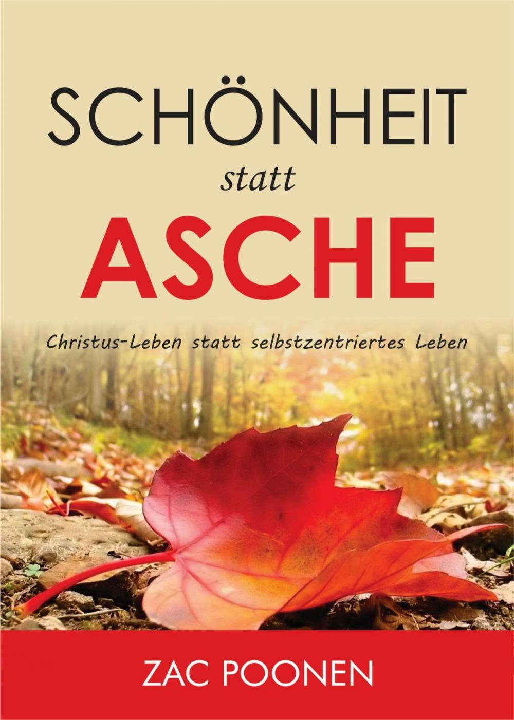 Big bigCover of Schönheit statt Asche