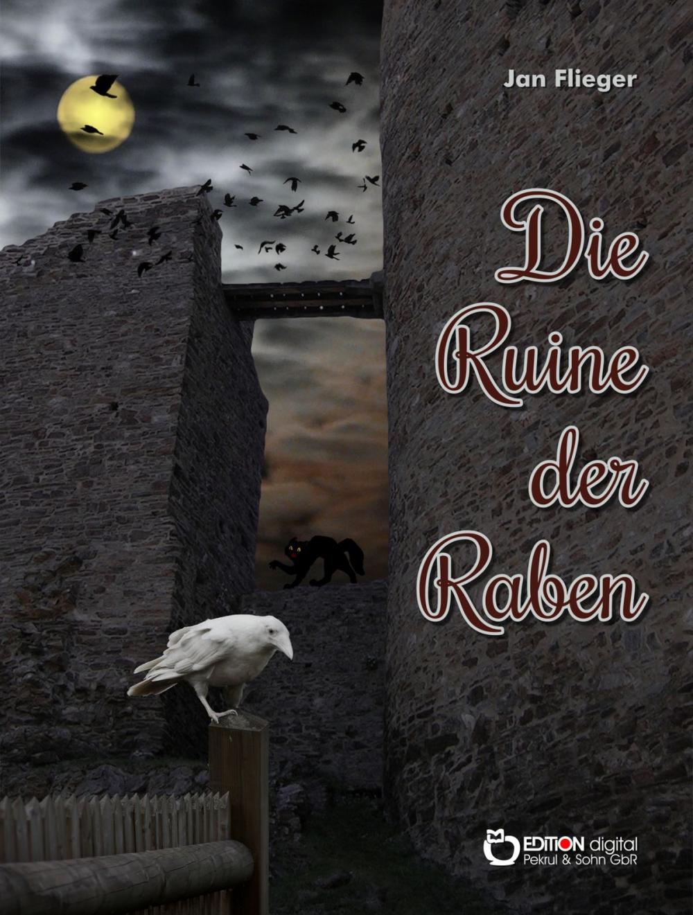 Big bigCover of Die Ruine der Raben