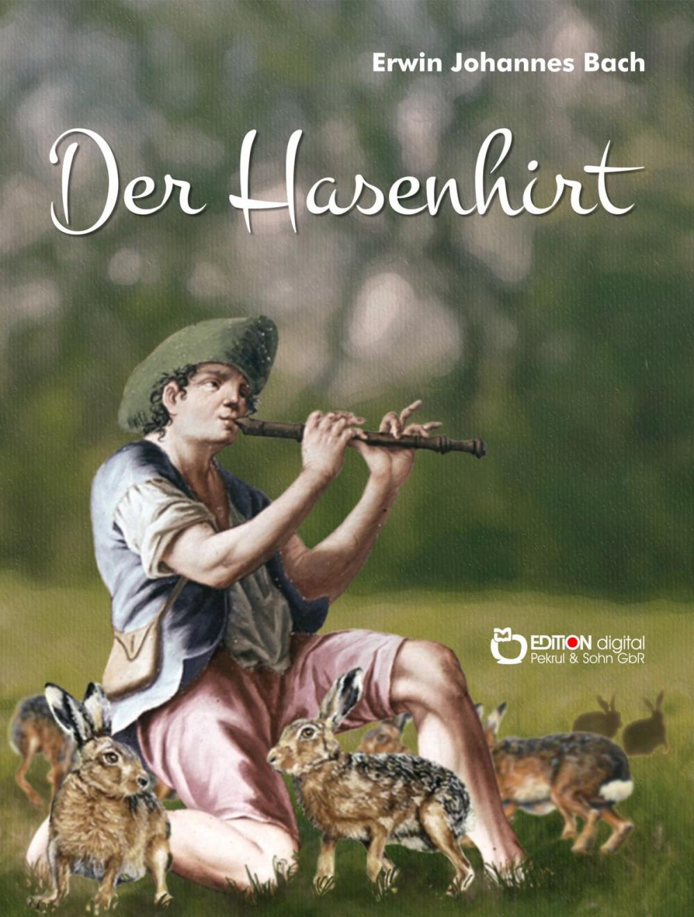 Big bigCover of Der Hasenhirt