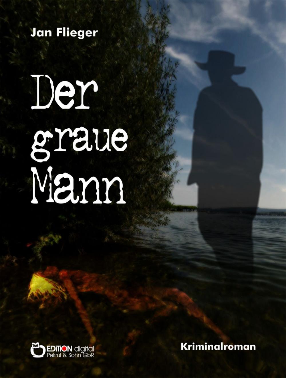 Big bigCover of Der graue Mann