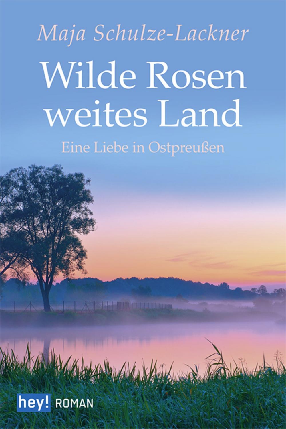 Big bigCover of Wilde Rosen, weites Land