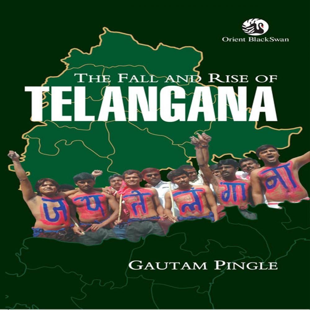 Big bigCover of The Fall and Rise of Telangana