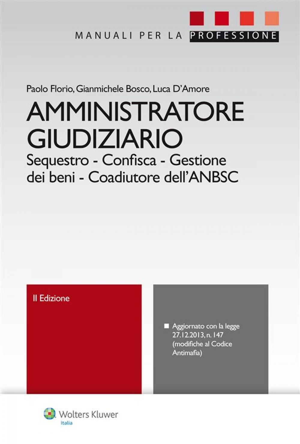 Big bigCover of Amministratore giudiziario