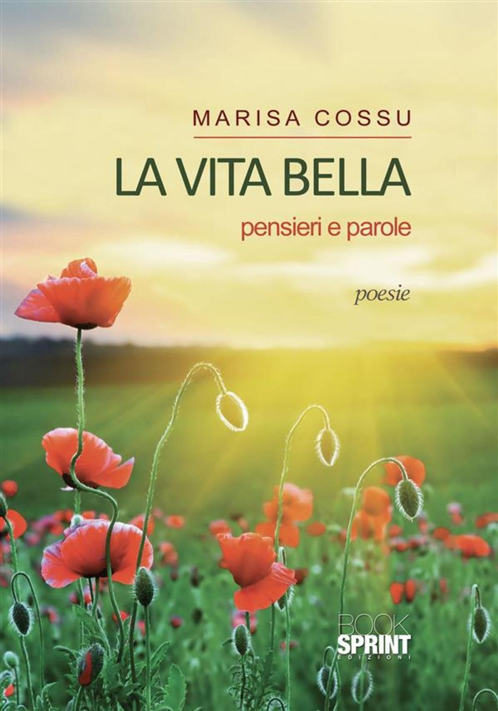 Big bigCover of La vita bella