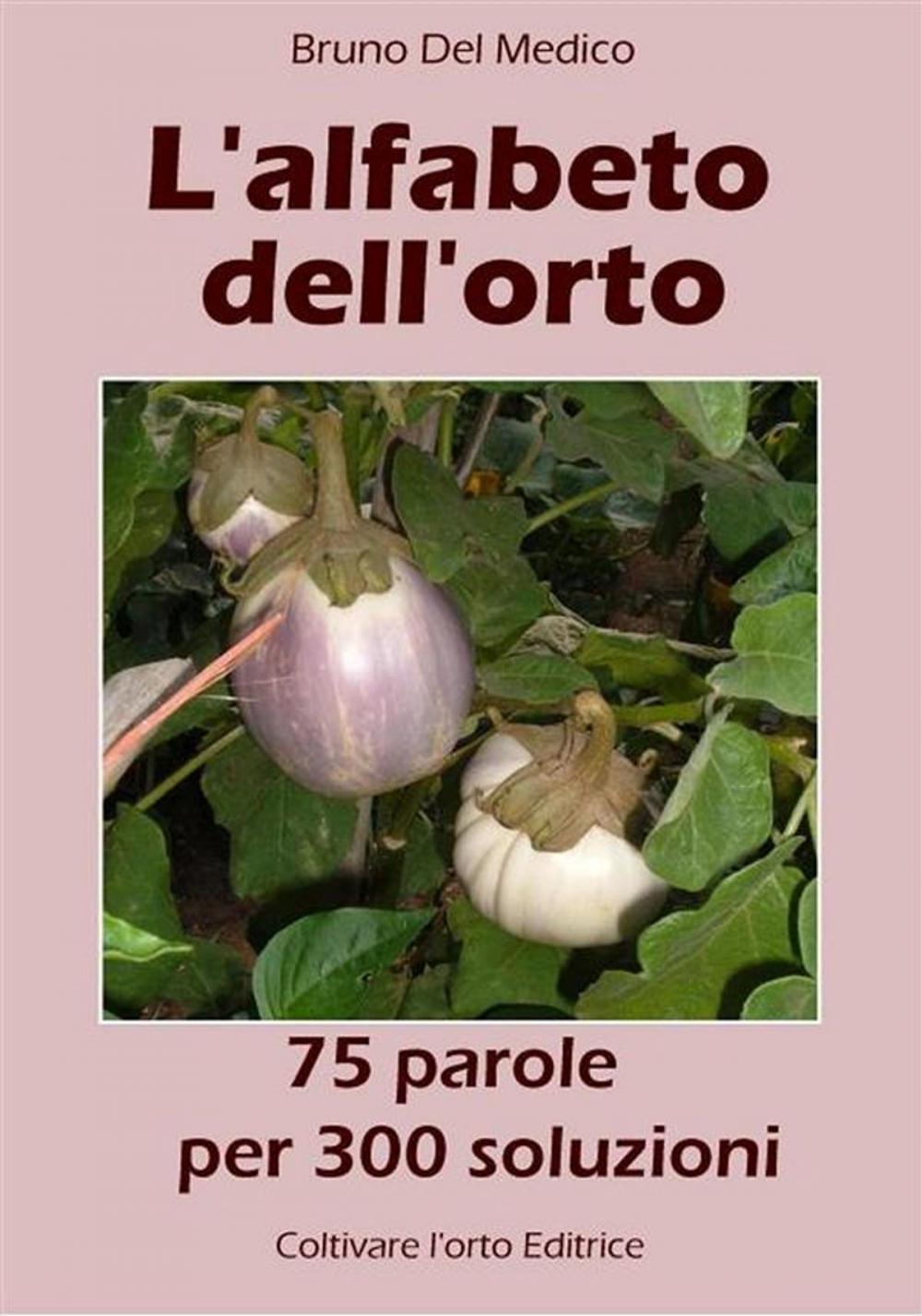 Big bigCover of L’alfabeto dell’orto. 75 parole per 300 soluzioni