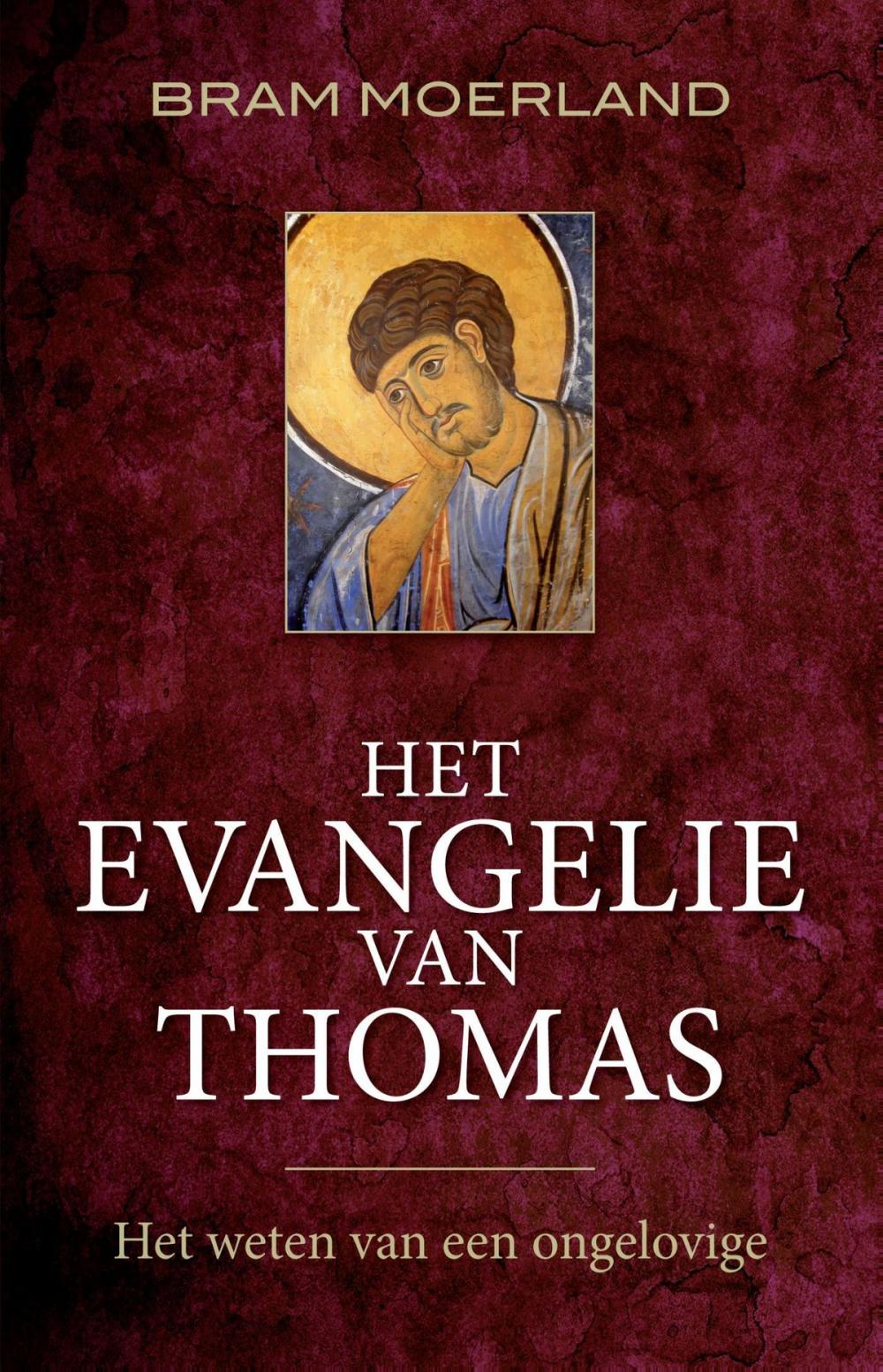 Big bigCover of Het Evangelie van Thomas