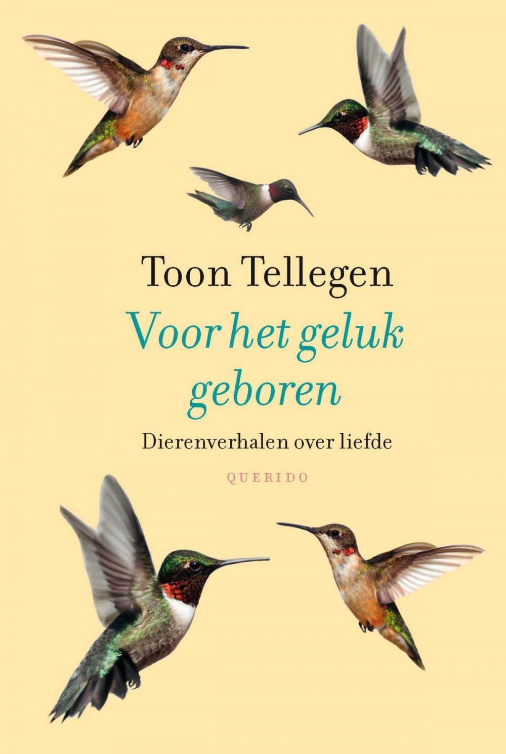 Big bigCover of Voor het geluk geboren