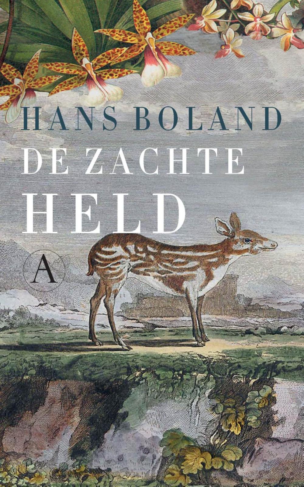 Big bigCover of De zachte held